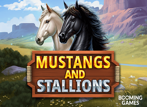 Mustangs and Stallions
