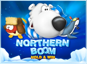 Northern Boom