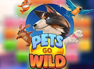 Pets Go Wild preview