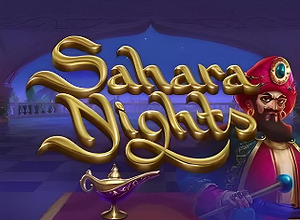 Sahara Nights