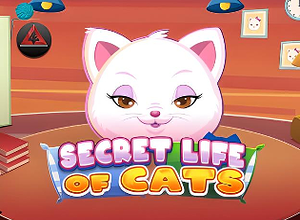 Secret Life of Cats preview