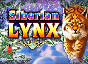 Siberian Lynx