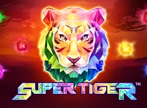 Super Tiger preview