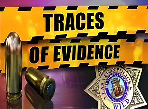 Traces of Evidence