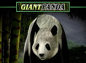 Untamed Giant Panda