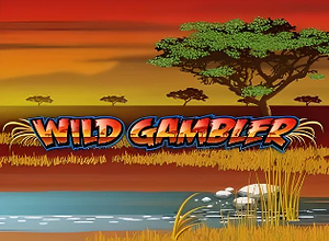 Wild Gambler