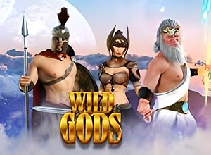 Wild Gods