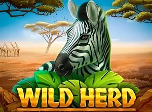 Wild Herd preview