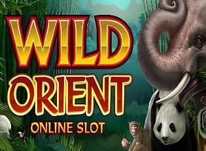 Wild Orient preview