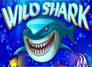 Wild Shark