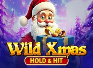 Wild Xmas Hold and Hit preview