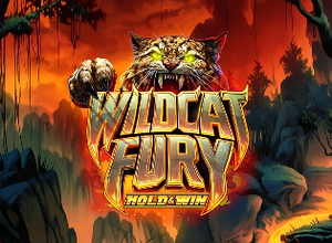 Wildcat Fury logo