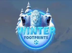 Winter Footprints preview
