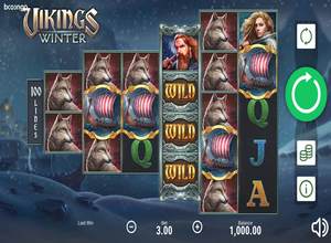 Vikings Winter