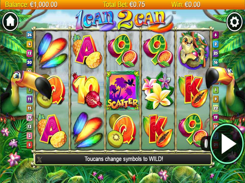 1 Can 2 Can gameplay screenshot