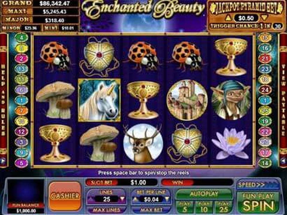 Enchanted Beauty gameplay screenshot