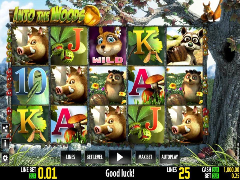 Into the Woods World Match