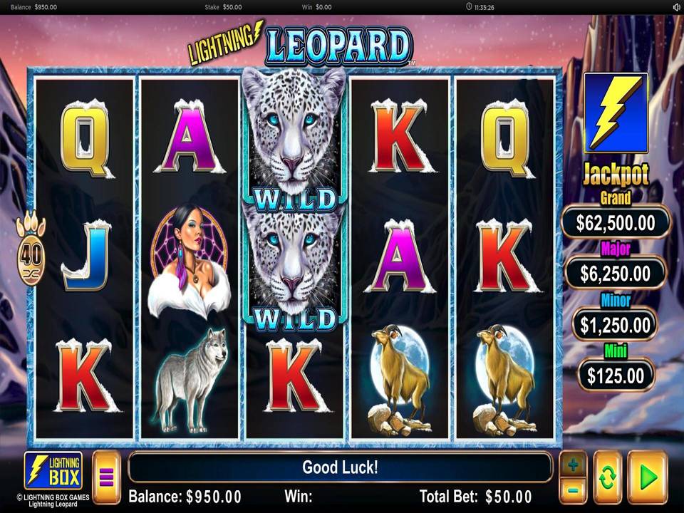 Lightning Leopard gameplay screenshot