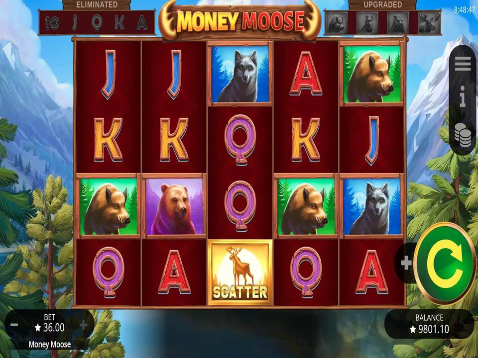 Money Moose gameplay screenshot
