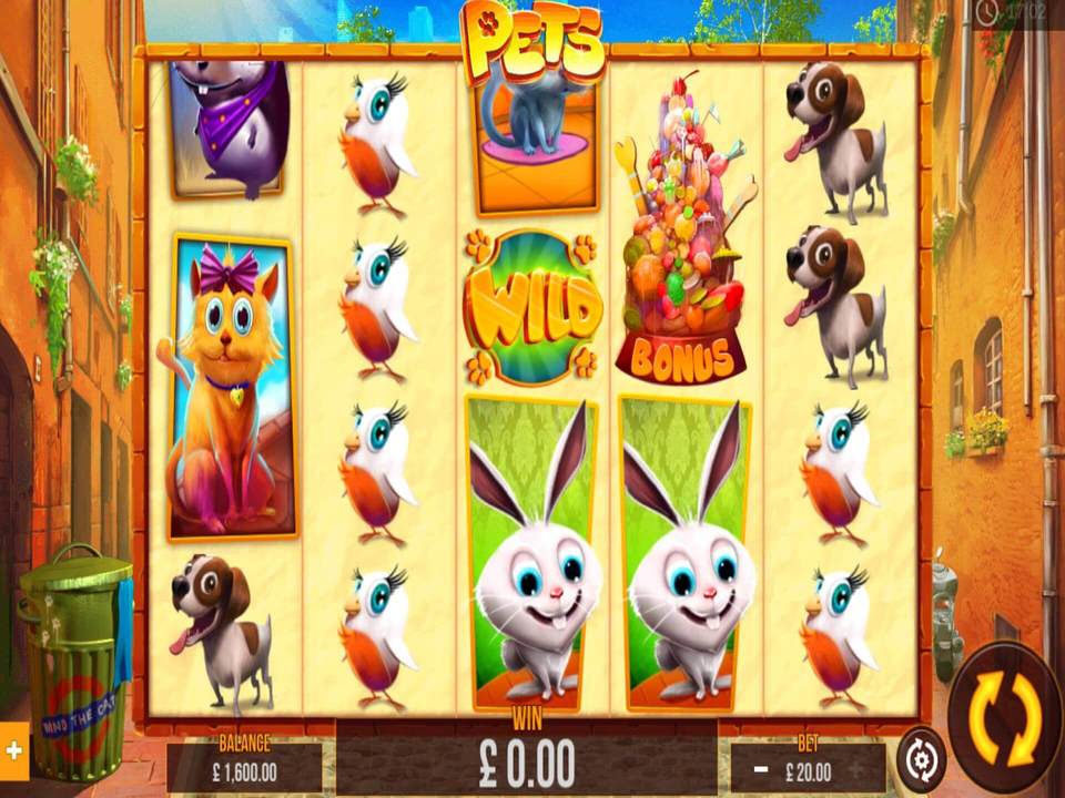 Pets gameplay screenshot