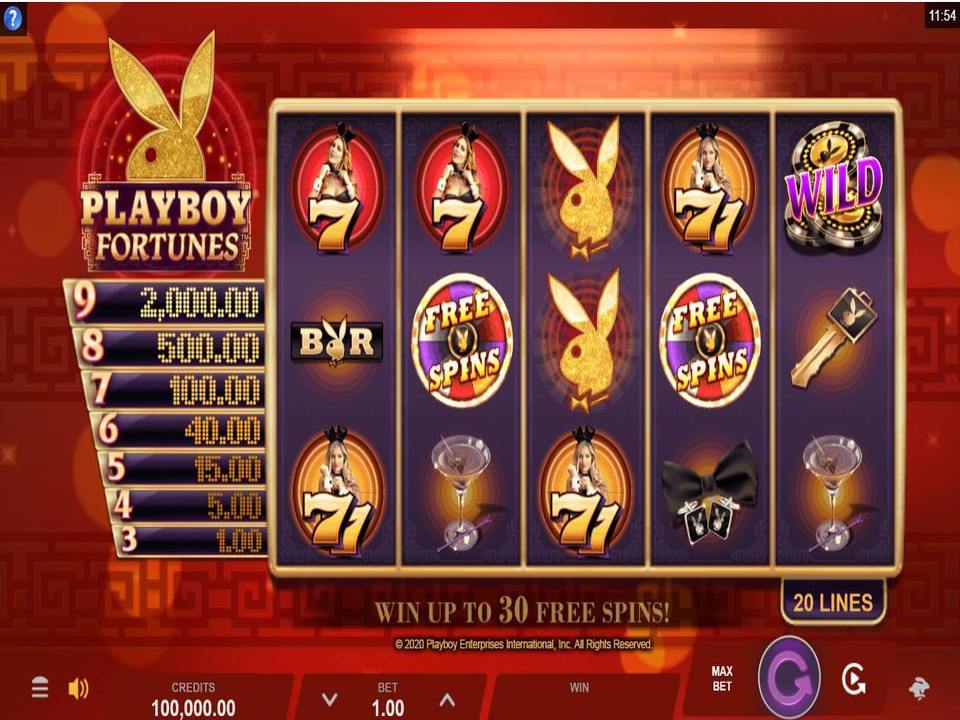 Napa Casino - Bieg Polesie Slot Machine