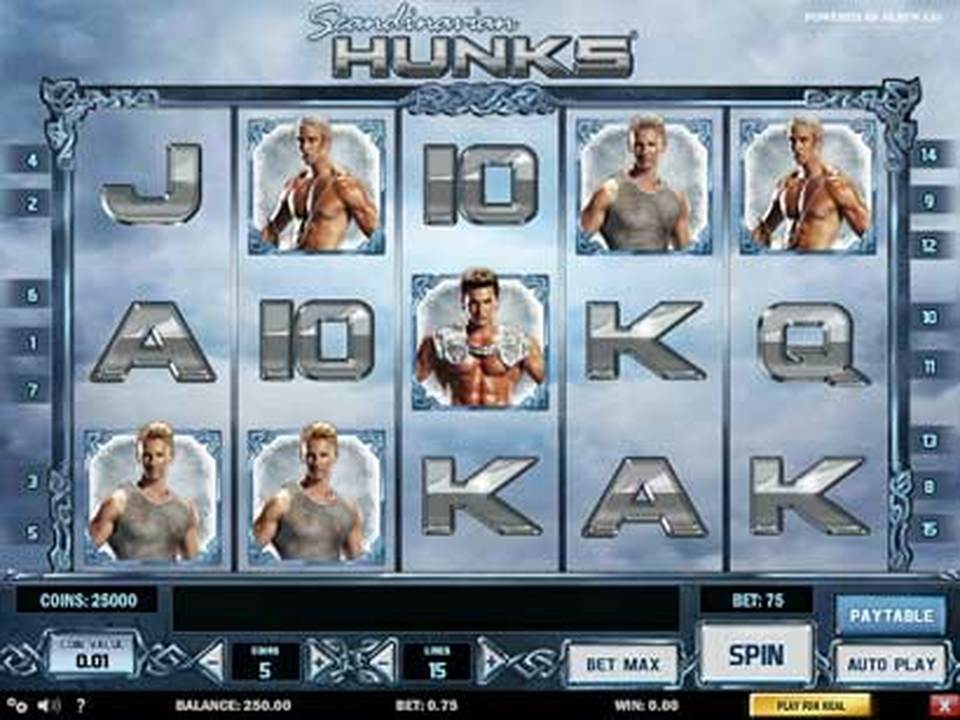 Scandinavian Hunks gameplay screenshot