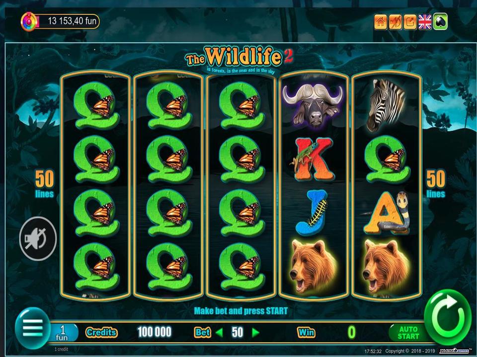 Wildlife Wildlife