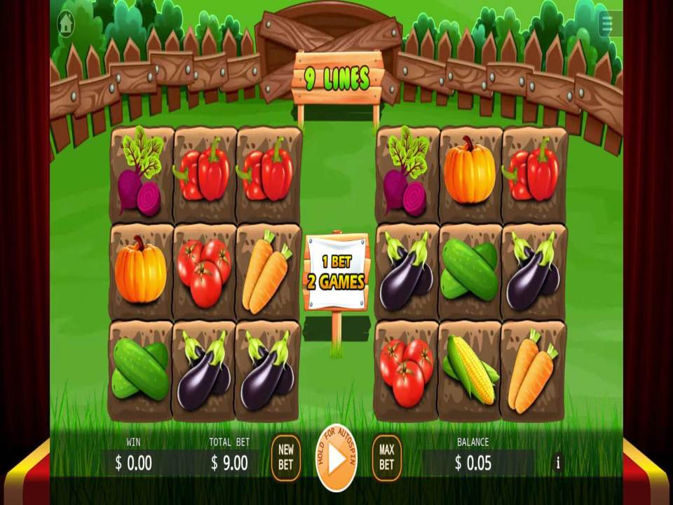Veggies Plot gameplay screenshot