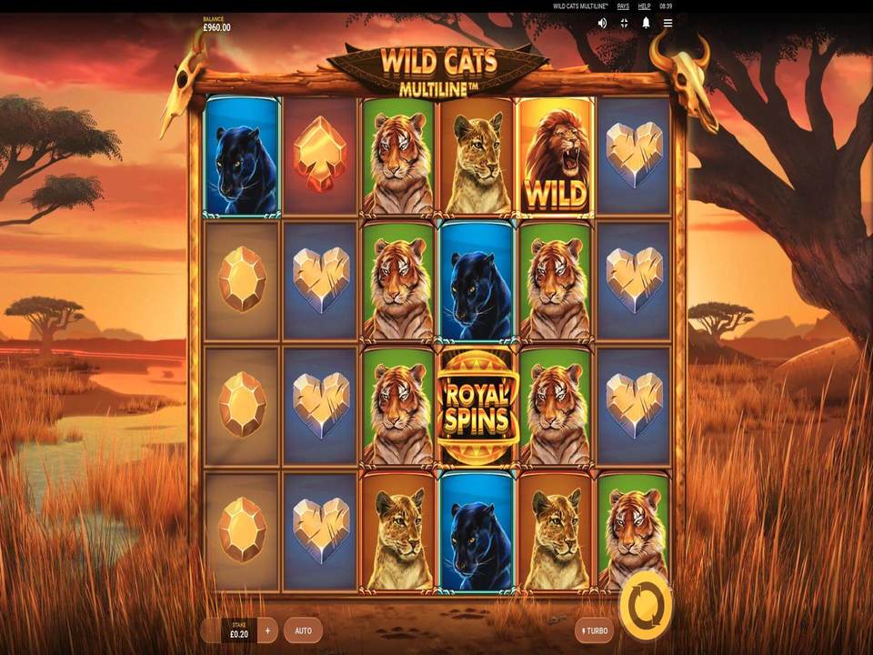 netent casino