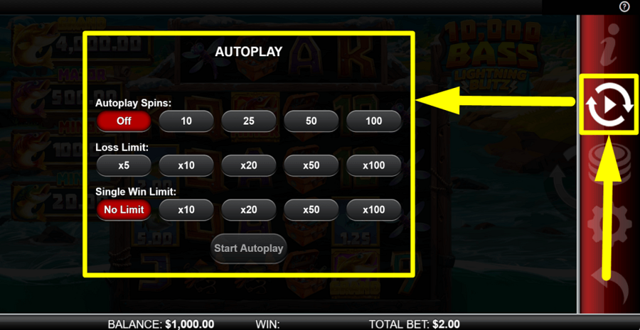 10000 Big Bass Lightning Blitz Autoplay Feature