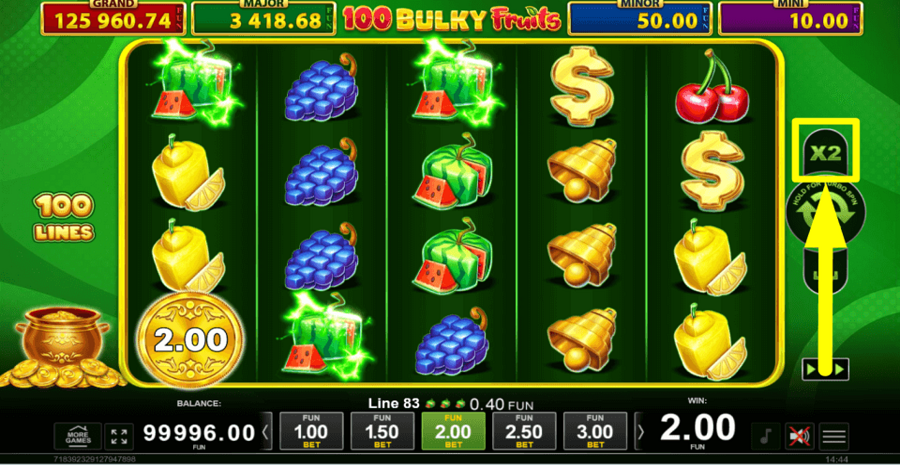 100 Bulky Fruits Golden Coins Link Gamble Feature