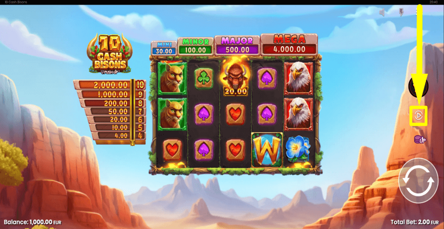 10 Cash Bisons Autoplay Feature