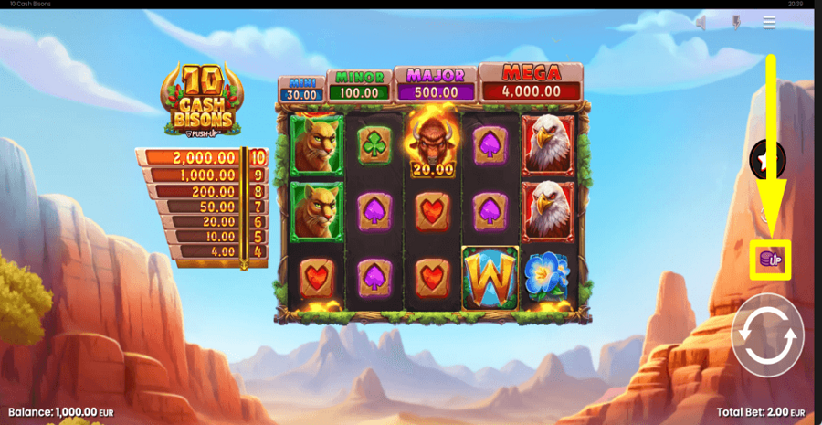 10 Cash Bisons Bet Value