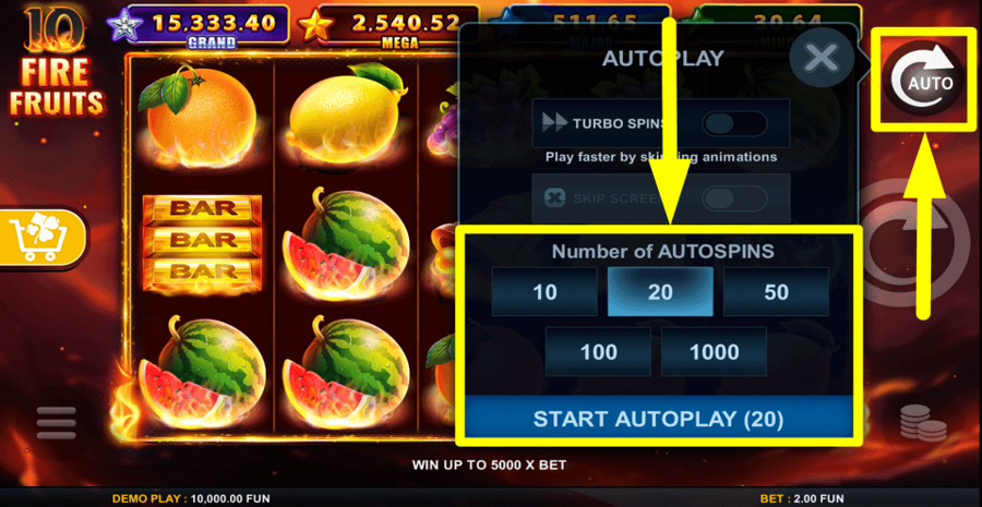 10 Fire Fruits Autoplay Feature