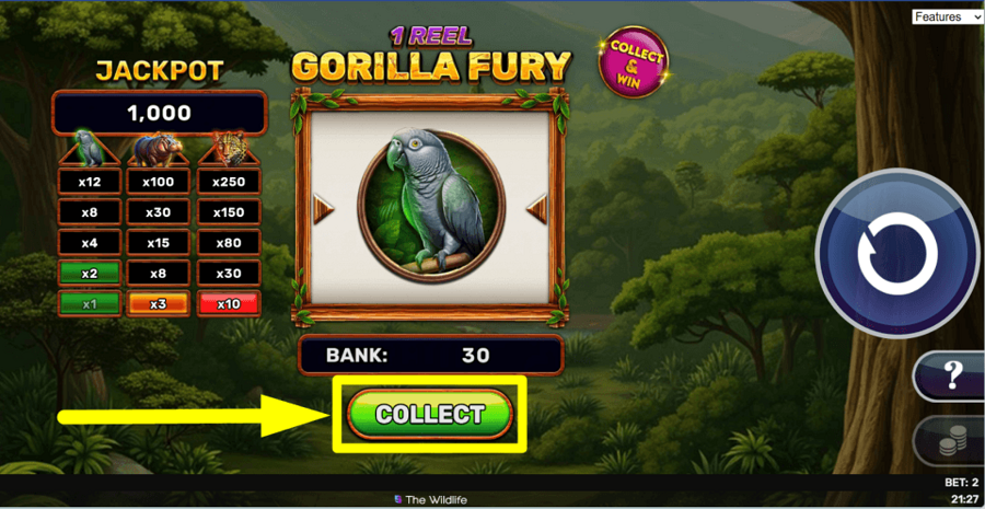 1 Reel Gorilla Fury Collect Button