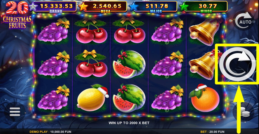 20 Christmas Fruits Spin Button