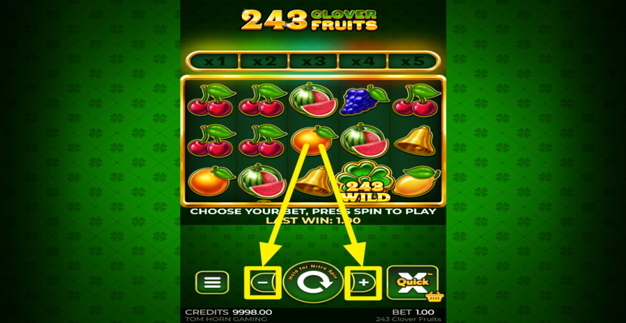 243 Clover Fruits Adjust Bet