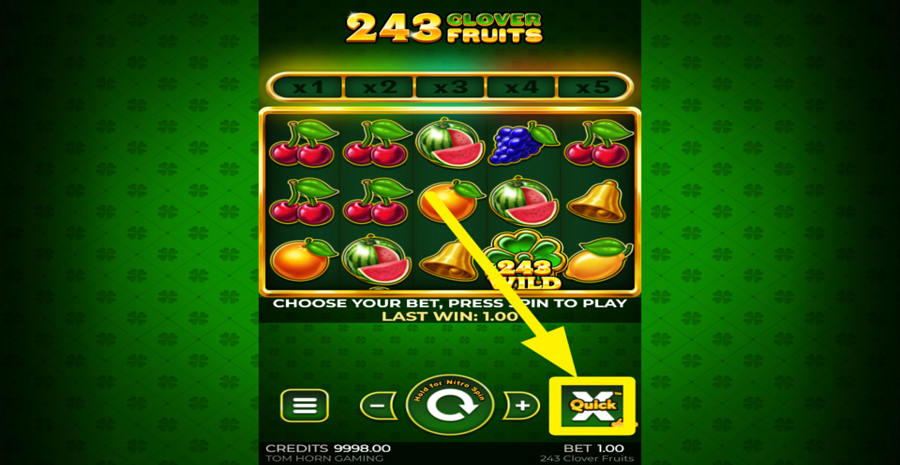 243 Clover Fruits Quickx