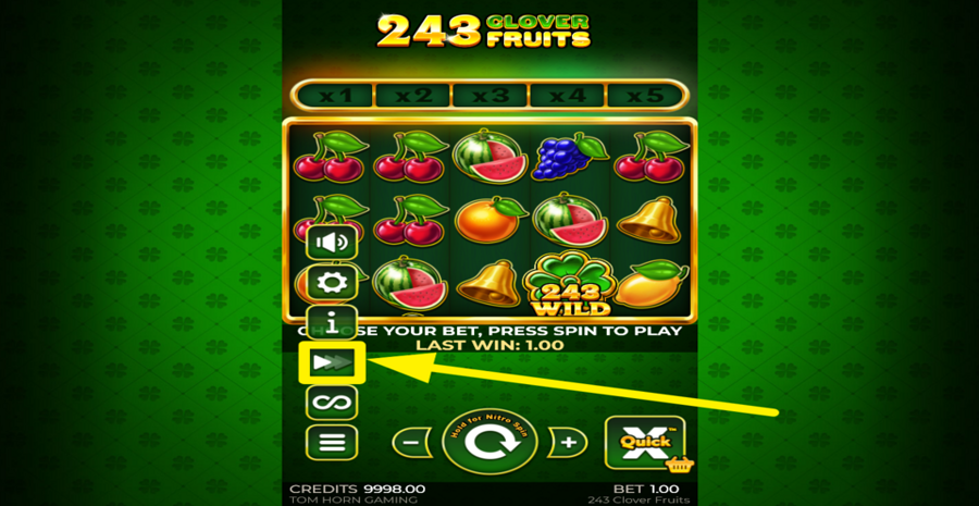243 Clover Fruits Turbo