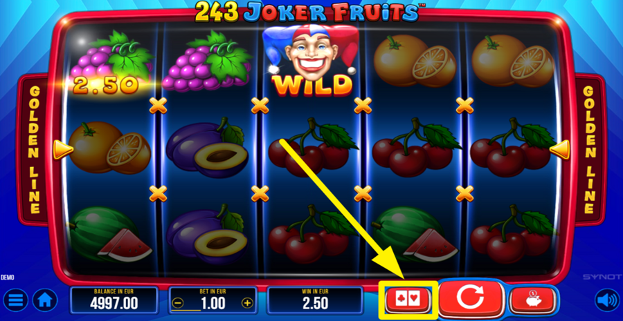 243 Joker Fruits Gamble
