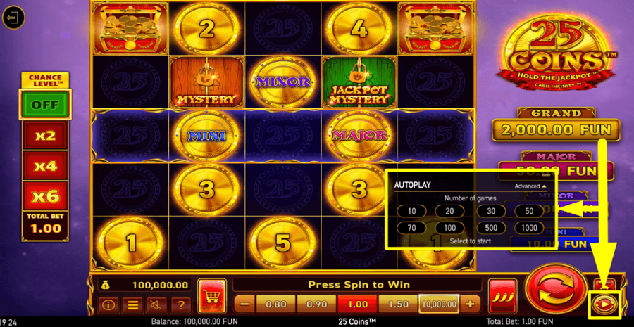 25 Coins Autoplay Feature