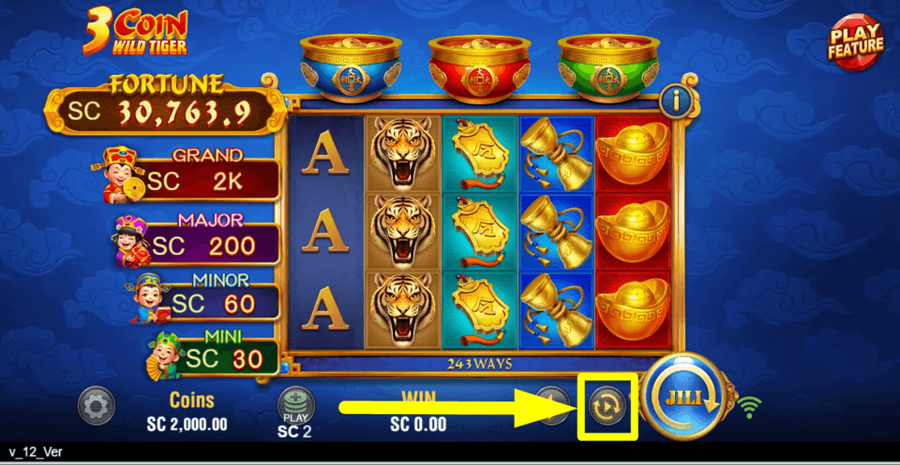 3 Coin Wild Tiger Autoplay Feature