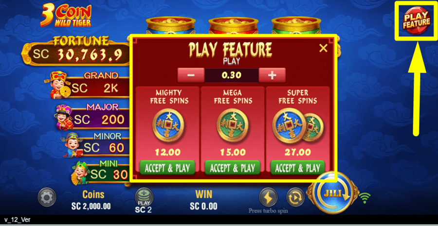 3 Coin Wild Tiger Play Feature