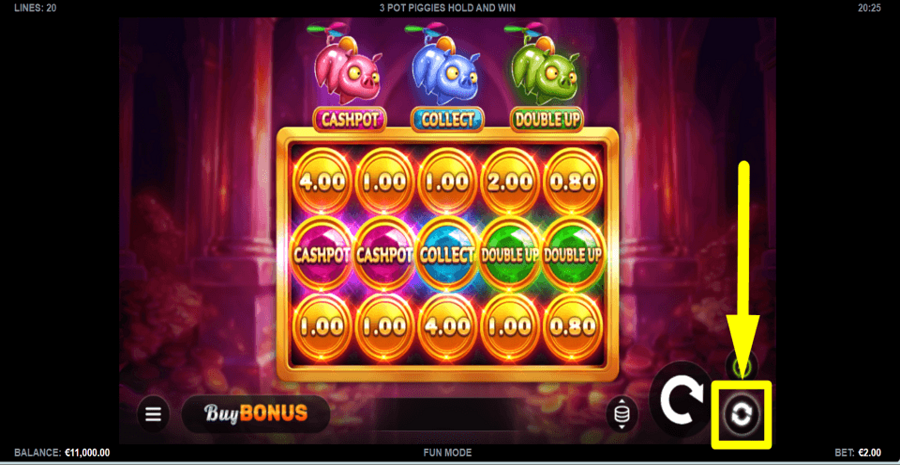 3 Pot Piggies Hold And Win Autoplay Feature