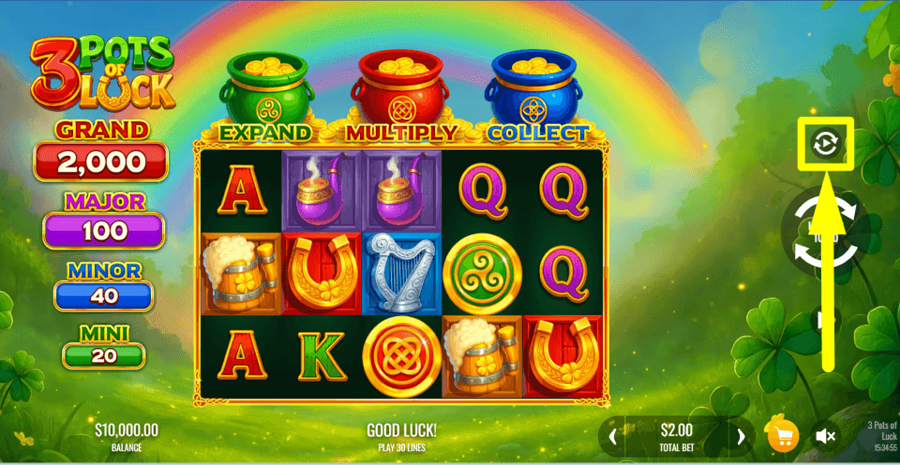 3 Pots Of Luck Autoplay Feature