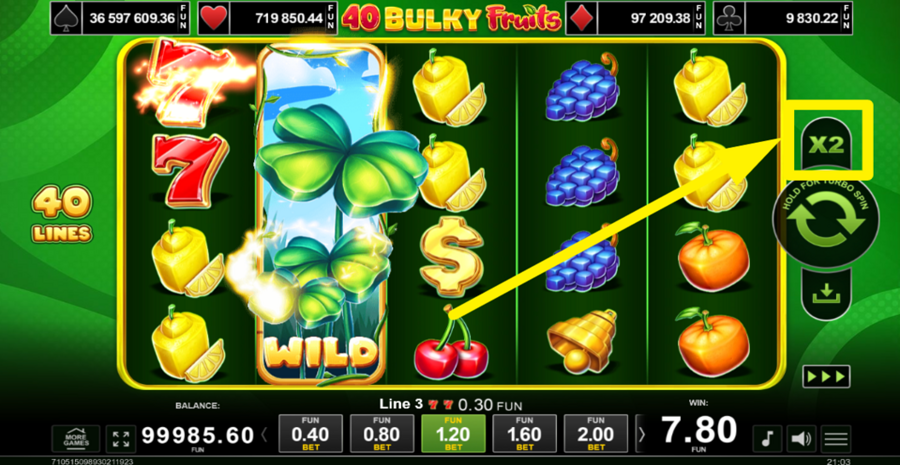 40 Bulky Fruits Golden Coins Link Gamble