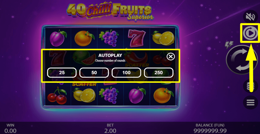 40 Chilli Fruits Superior Autoplay Feature