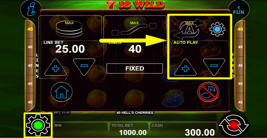 40 Hells Cherries Autoplay Feature