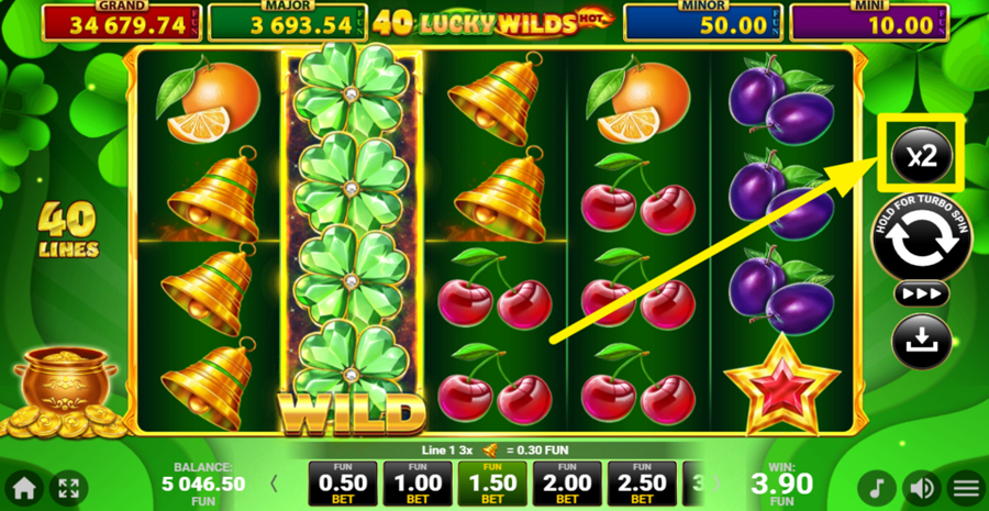 40 Lucky Wilds Hot Gamble