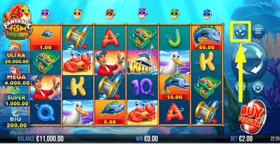 4 Fantastic Fish Puffer Pots Autoplay Feature